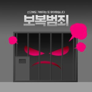 “보복범죄, 검찰의 대응법은..?”