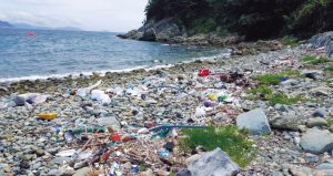 Plastic Crisis: Now’s the Time to Act